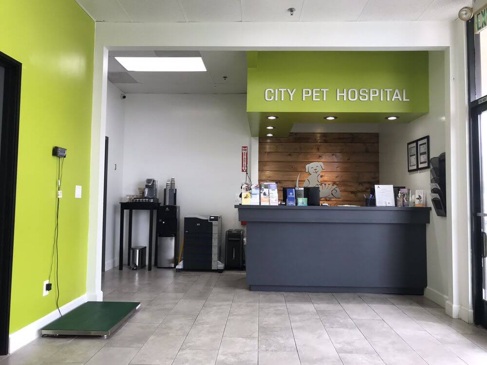Veterinarians in Daly City, CA